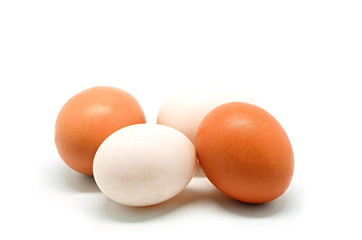 chicken and duck egg
