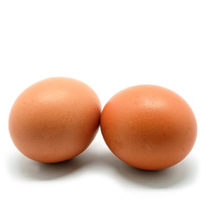 chicken egg