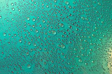 Water droplets on a greenish background