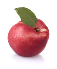 healthy organic nectarine
