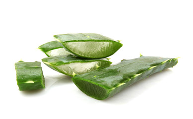 Fototapeta premium aloe vera isolated