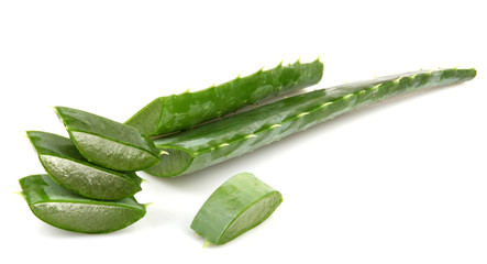 aloe vera isolated