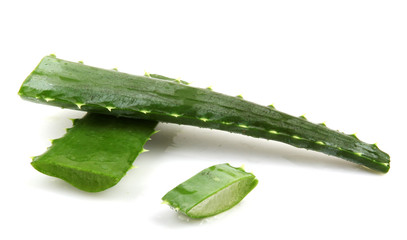 aloe vera isolated