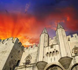 Foto op Canvas Popes' Palace of Avignon, unesco world heritage in Southern Fran © jovannig
