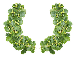wreath of oak leaves © epitavi