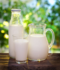 Milk in various dishes.