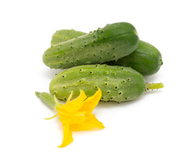 fresh cucumbers isolated on white background
