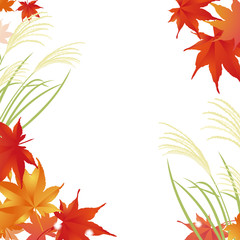 すすき	紅葉　もみじ　秋 フレーム