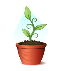 Green plant growing from flowerpot and soil