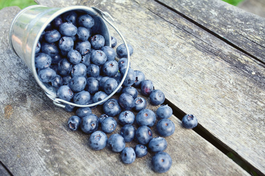 blueberries in a metallic bucket