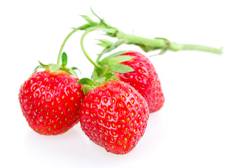 strawberries