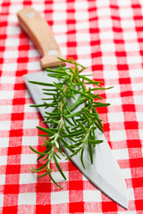rosemary on knife
