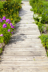 Garden path