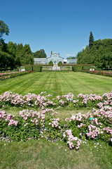 Giardino - Helsinki