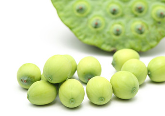 Fresh lotus seeds and pod