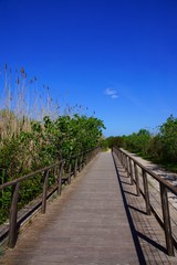 Obraz premium Holzbrücke im Park