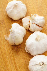 Garlic