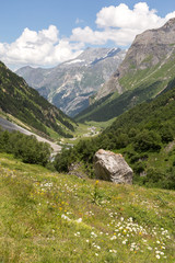 Obraz premium Vallée de Chavière - alpage et sommets
