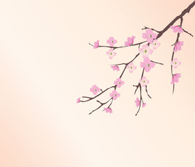 vector cherry blossom