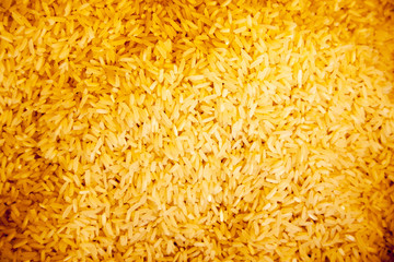 Rice Background