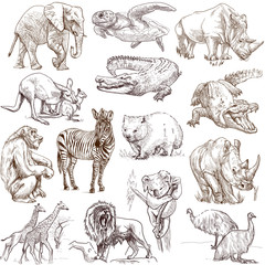 Animals around the world (collection no.1, white )