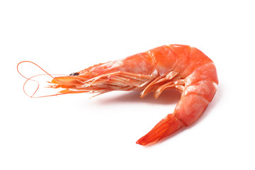 shrimp isolated on white