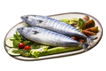 Fresh Atlanticmackerel