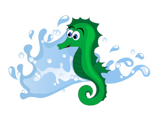 Sea horse