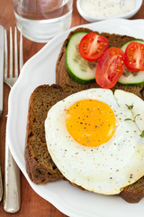 fried egg with bread on plate