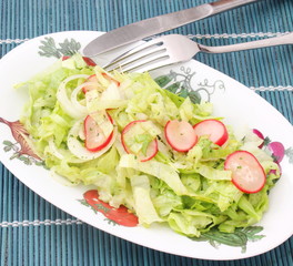 Grüner Salat mit Radieschen