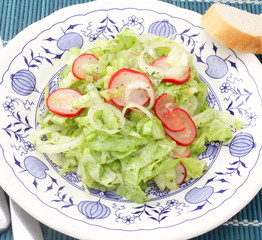 Grüner Salat mit Radieschen