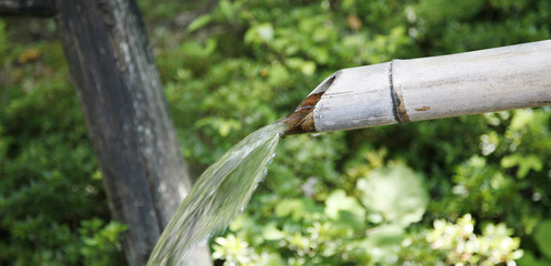 Bamboo and Natural Water Spring