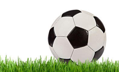 Obraz premium Soccer ball in the grass isolated on white background