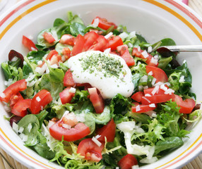 frischer Salat