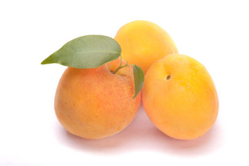 apricot