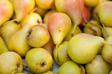 frische reife birnen im sommer auf dem markt