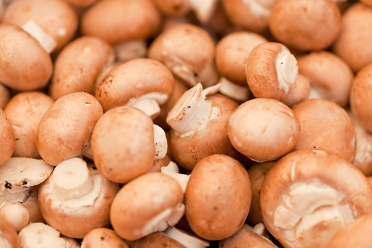 frische gesunde baune champignons auf dem markt