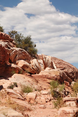 Fototapeta premium Red rock canyon