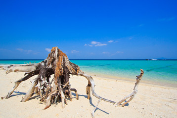 Fototapeta na wymiar Sea landscape and wood in Thailand