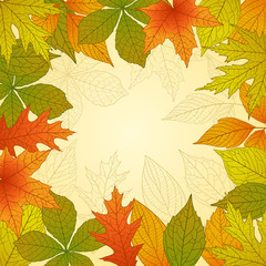 Autumn Background