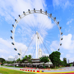 Fototapeta premium Singapore Ferris Wheel