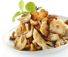 tasty mix of mushrooms
