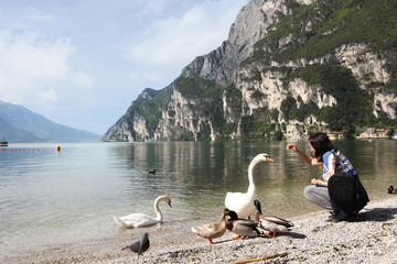 The swan and the lake 