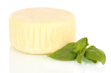 Cheese mozzarella and basil isolated on white