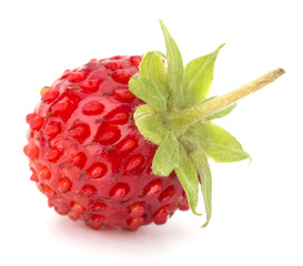 Wild strawberry isolated on white background closeup