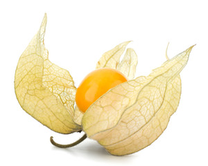 Physalis fruit isolated on white background