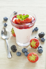 Pannacotta with wild berries and strawberry sauce, italian desse