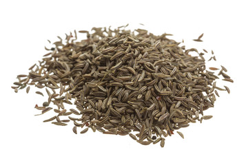 caraway