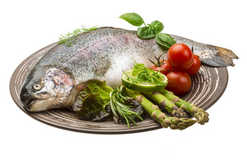 Fresh raw rainbow trout