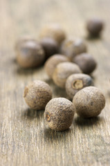 Allspice close-up